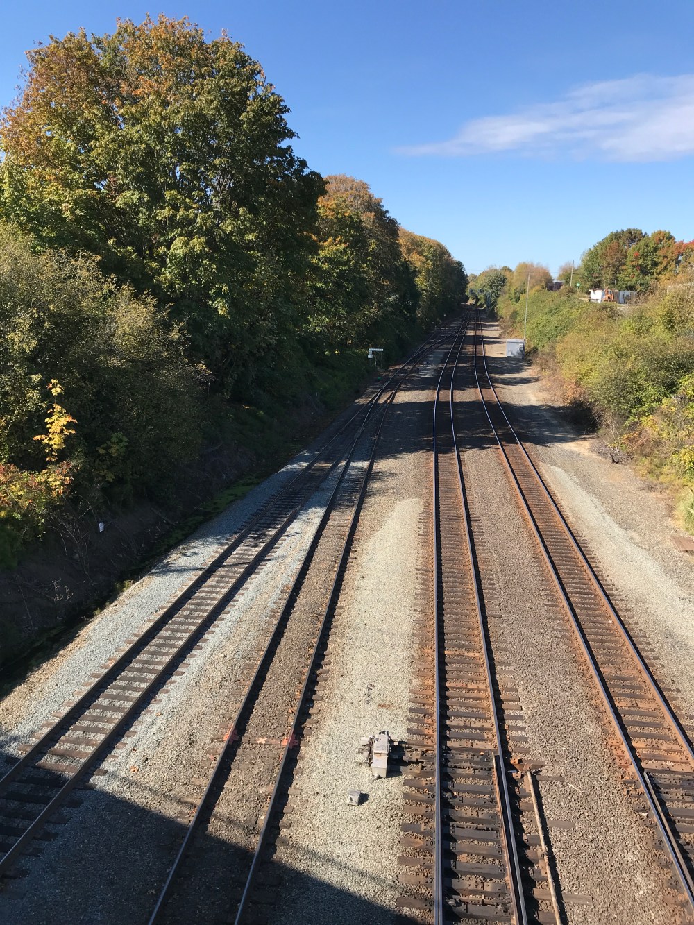 E7320E8F-1596-4E15-A77B-1DB56ECEF1CD