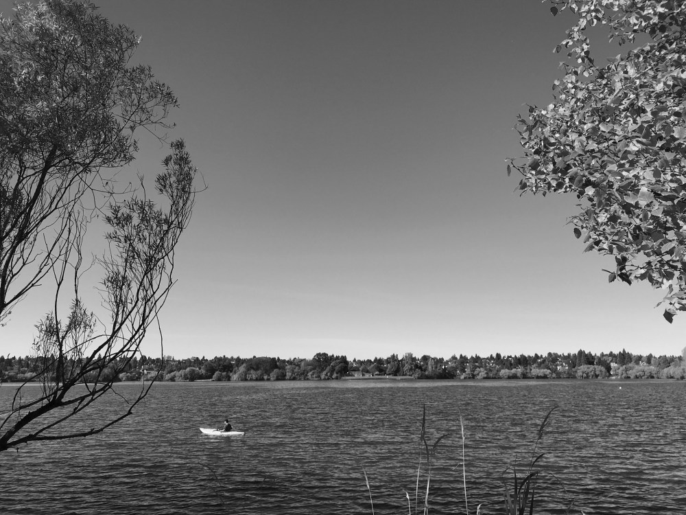 E966A5B9-B30C-4F99-A363-EC69650F656D