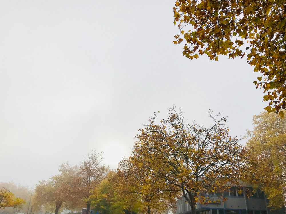 EEDBB04E-AAE9-4FAA-84A5-D3F3AAAEC4C5