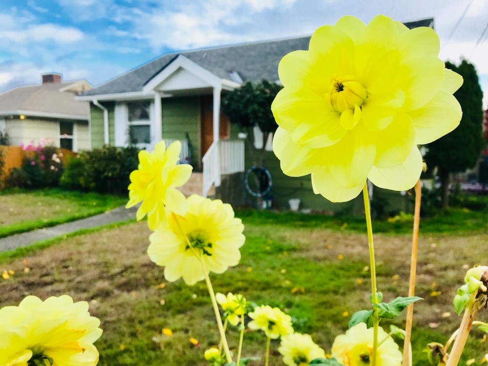 EF0A49C0-4699-45A9-91C8-3898A571308D