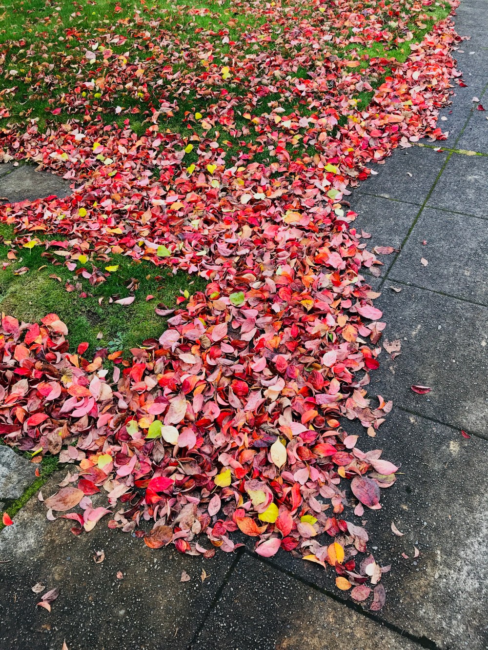 F051B5D2-52E0-4BED-A501-A91714B07751