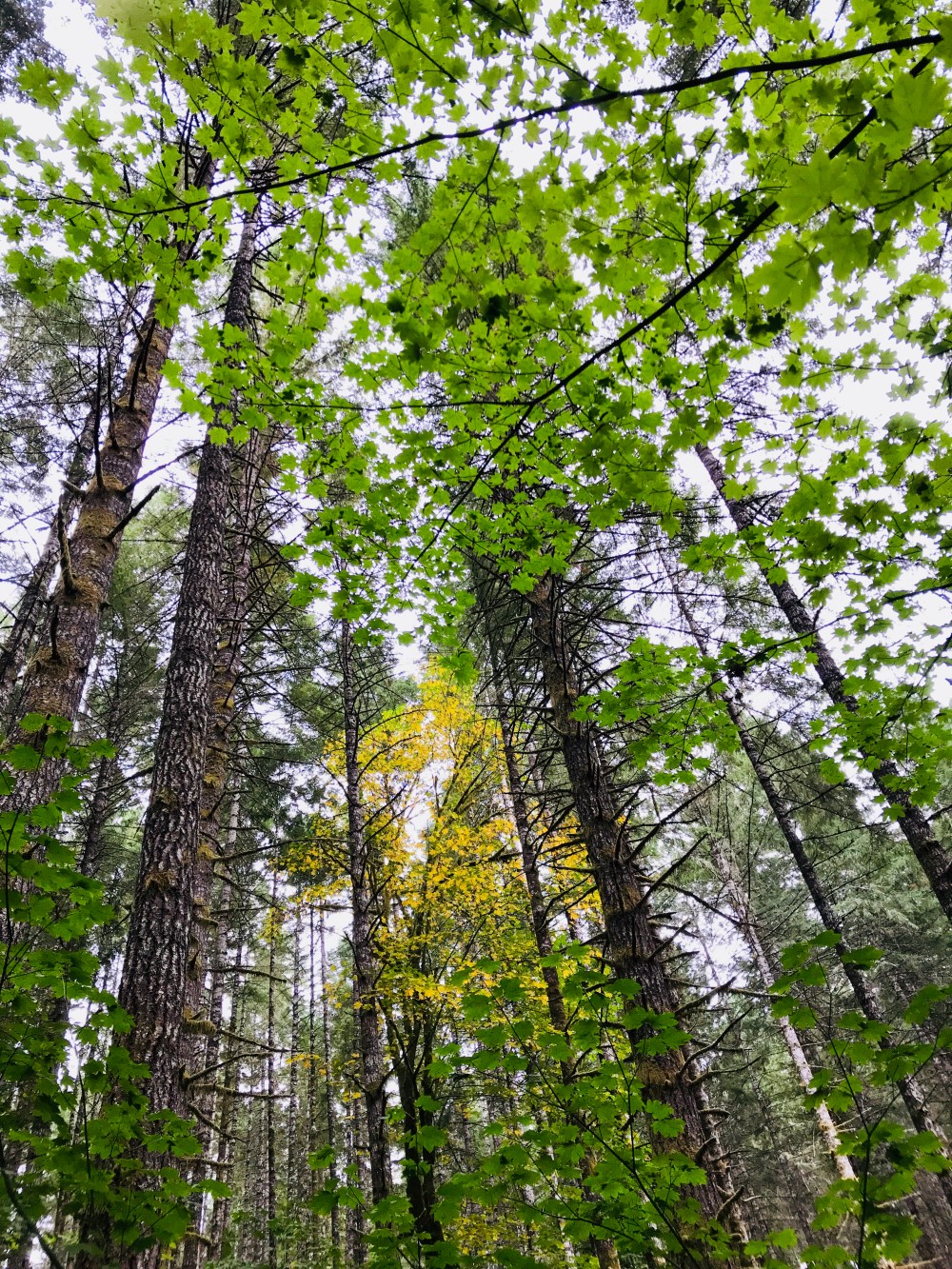 F120031E-ECF7-4774-986D-5B320E23413E