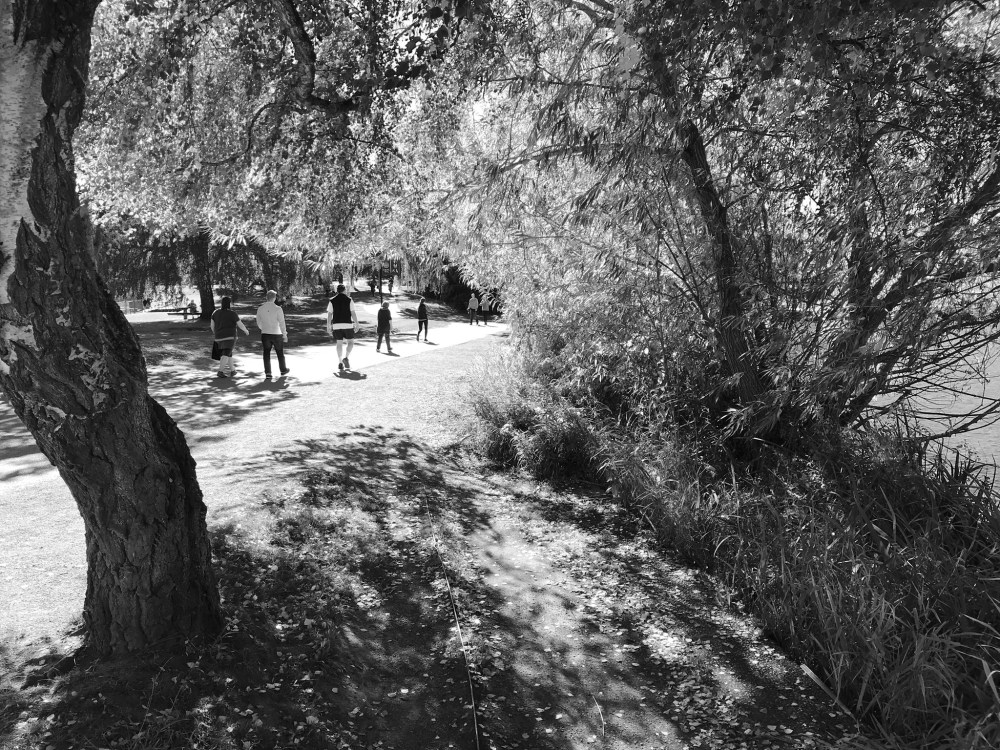 F1E9AC05-D2D4-4709-A1A4-558B8D9E3280