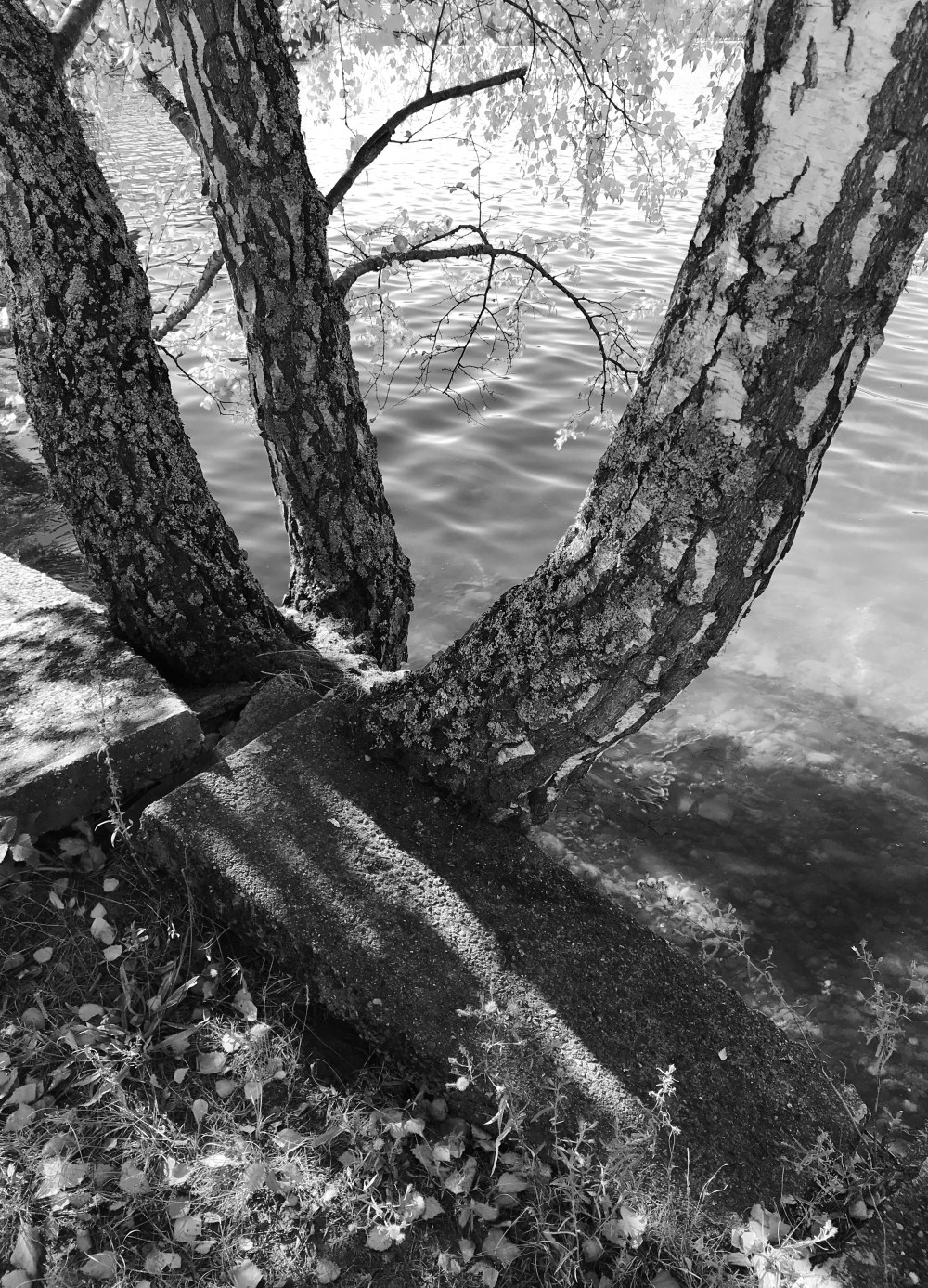 F34B570B-86FF-466D-8425-BEC438DFC104