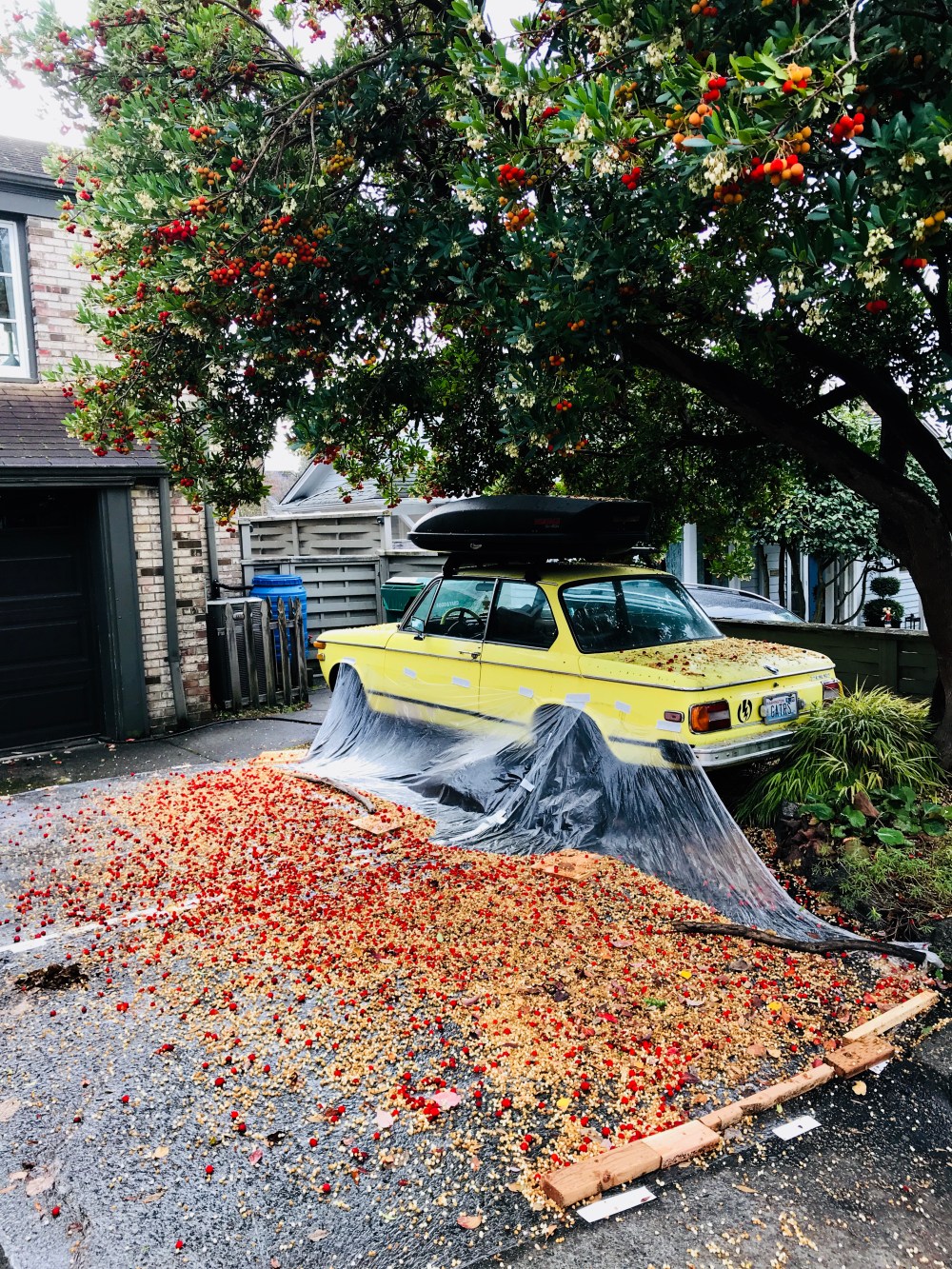 F5DE03BB-845F-4C86-A48A-83952338C01F