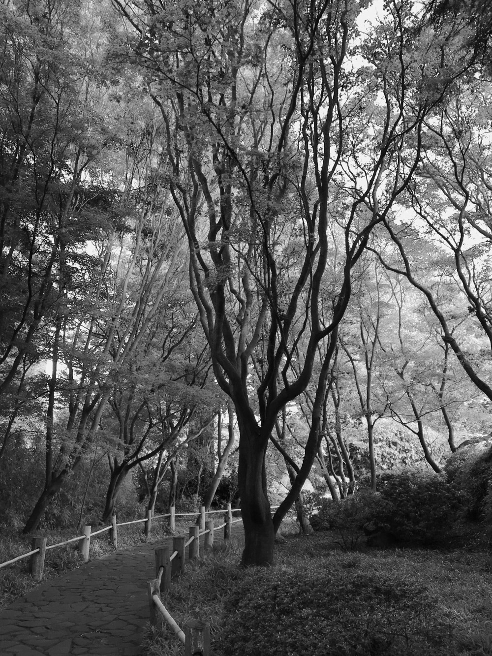 F80EC0A1-D3FF-40B0-AF24-AD49E9CD95F0