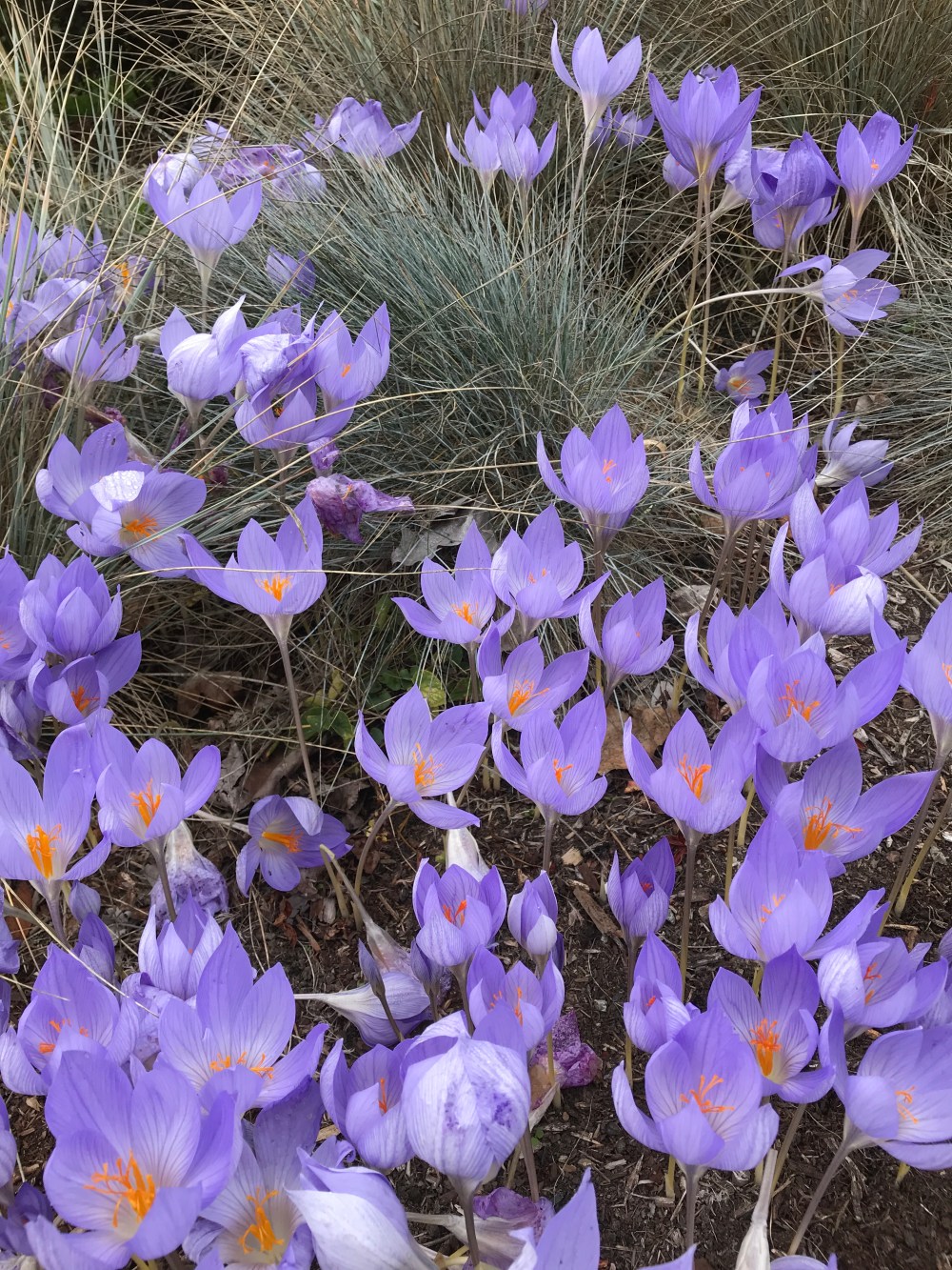 F8ECD005-AC8A-4357-860D-FB0CCF31A52C