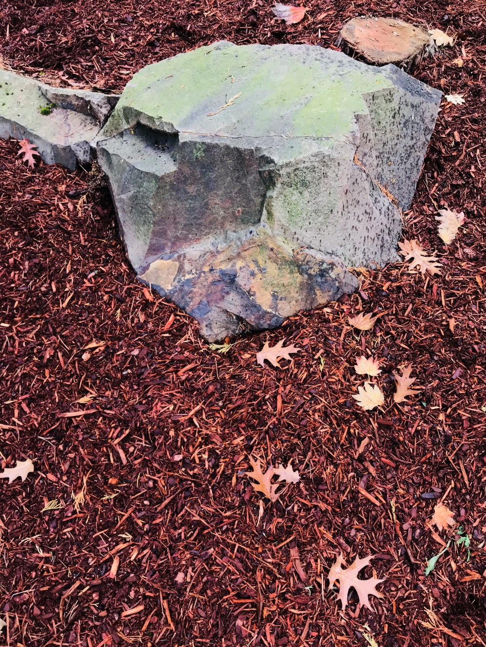 F909376E-3890-4154-BB6B-274D003DBC02