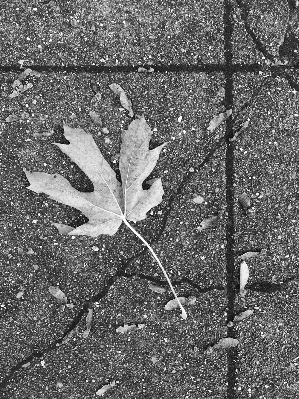 FDB8199E-898D-41FF-87AF-B4FD8242F147