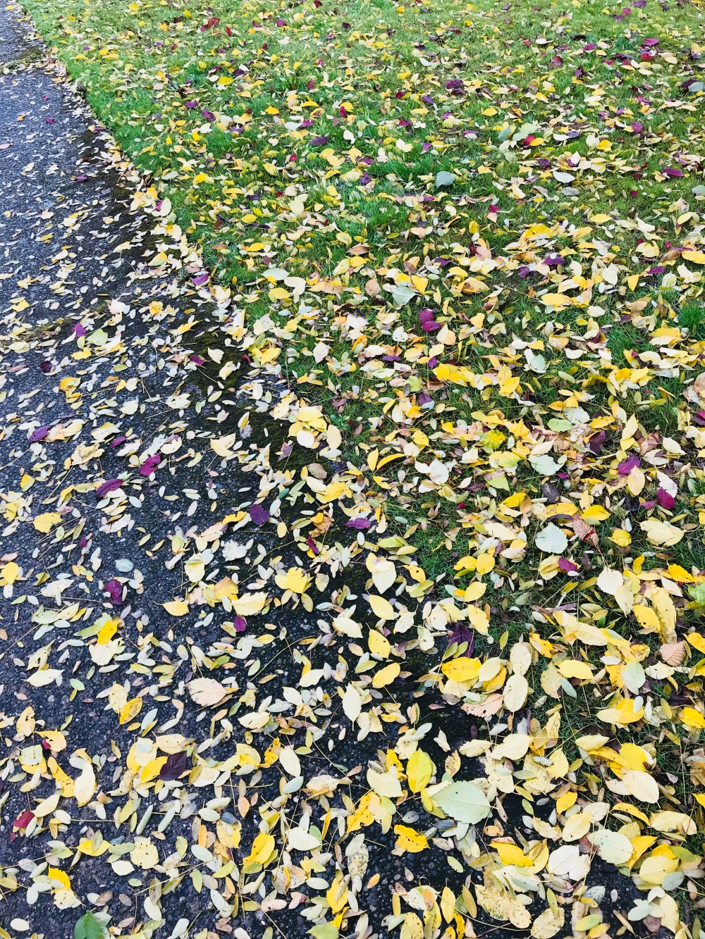 FDD390F5-13AF-4642-ABBD-E1C8D397B804