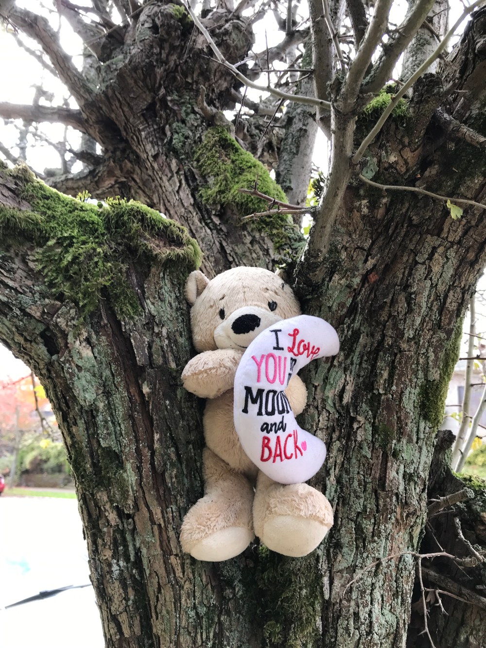 0F5B9181-872E-47DB-ACA0-BE049CE43395