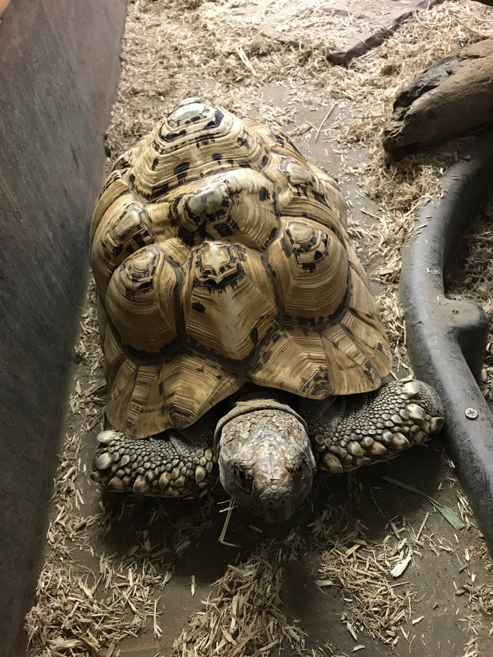 2075AC13-25C0-414E-9DA5-AC7056547068