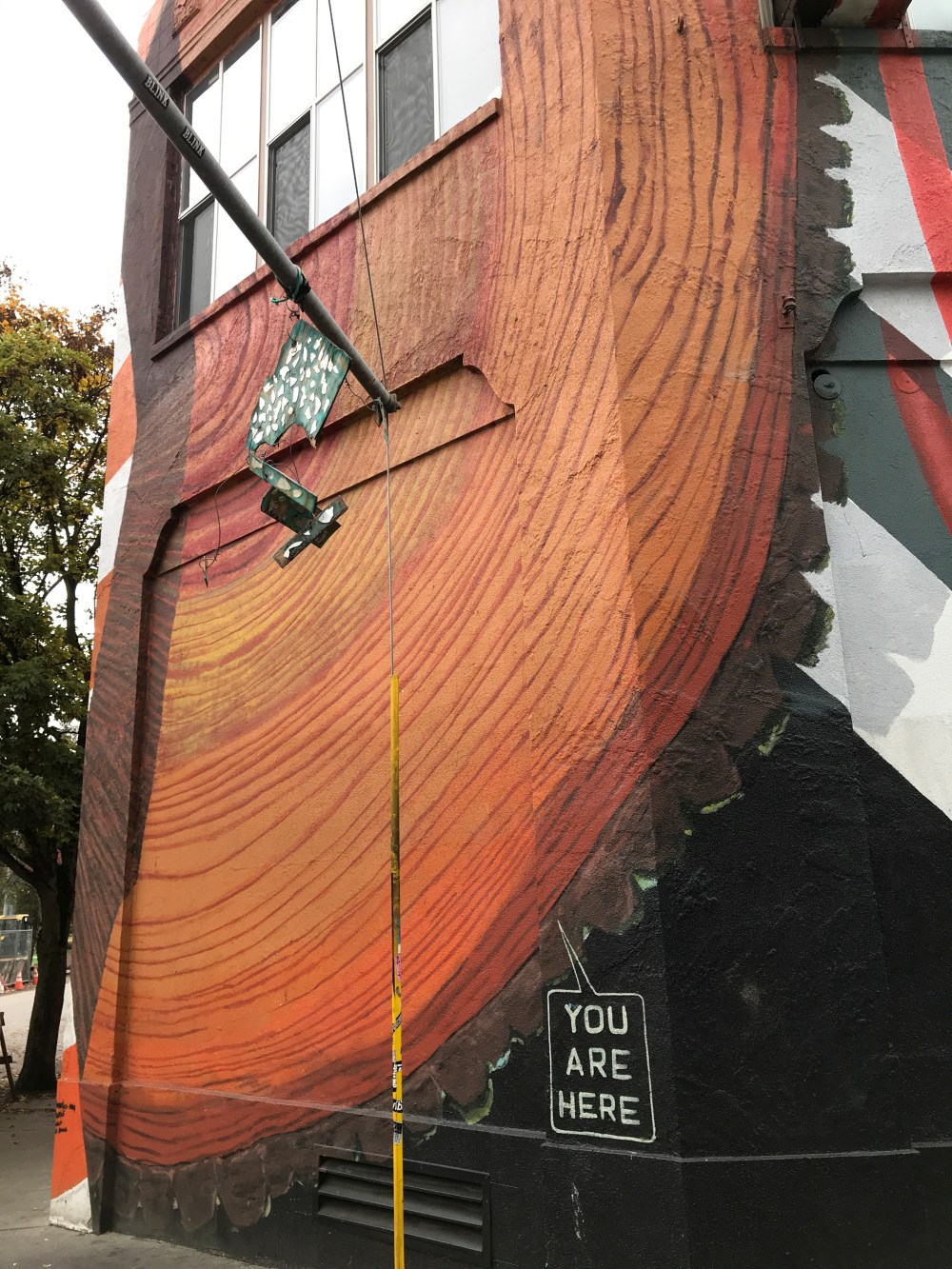 2ABDF9E7-C2E4-4F15-A00F-A619AED9D6CC