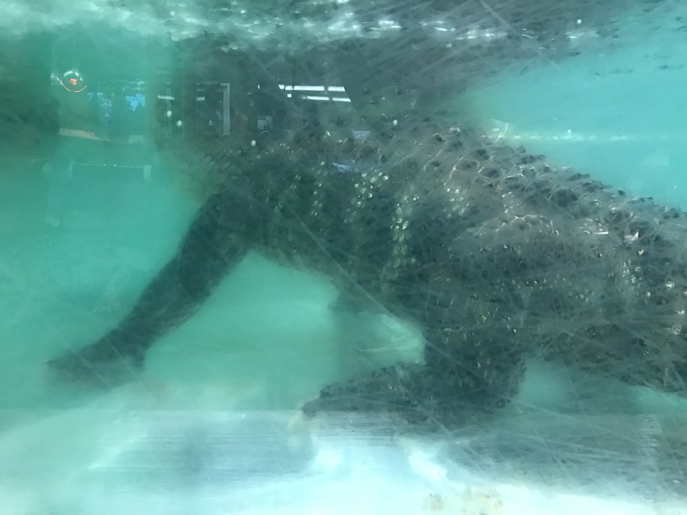 2BFAEE35-1001-433C-BEE9-8DB69B5E0AAC