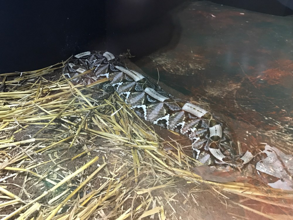 2C17FDEC-85CB-4438-88C8-F179DBB03A60