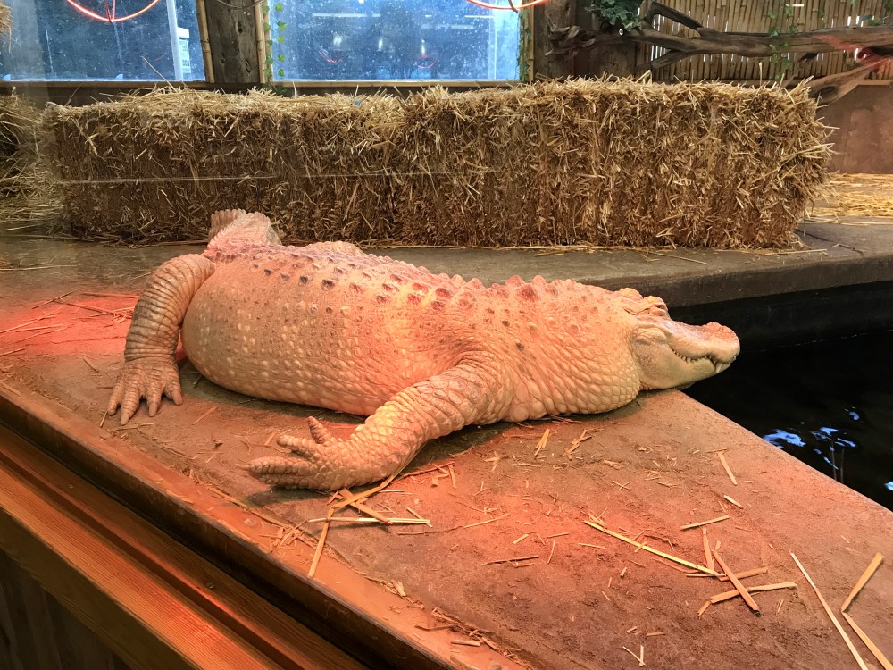 358EB97C-3BFE-40FF-B2AB-014146C8CDBA