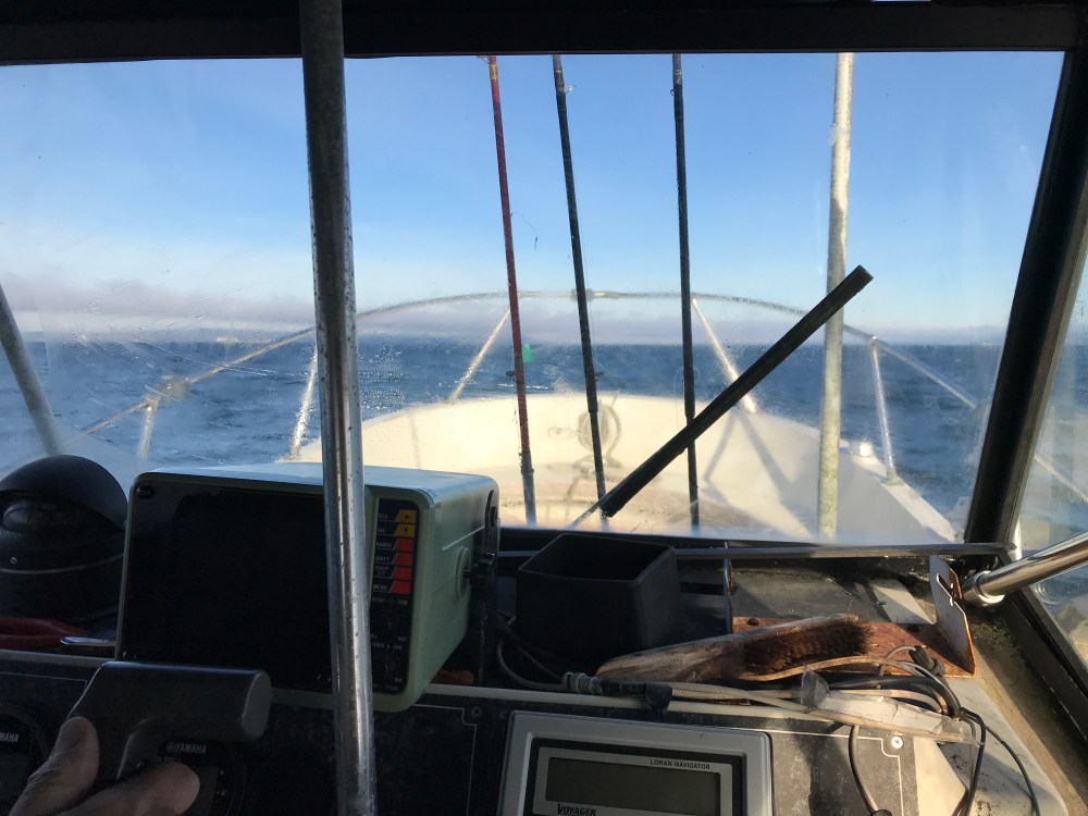 3EC65729-4FCB-45B3-A33D-F99B47ECA919