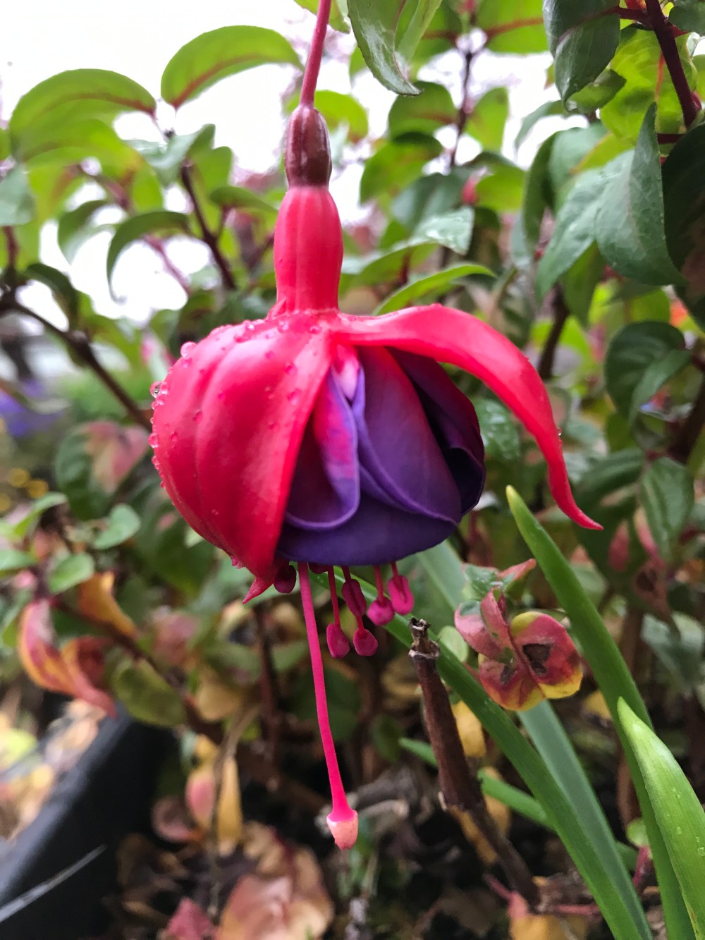 53584C69-CC17-47B2-A1E9-6D6D0E2214F5