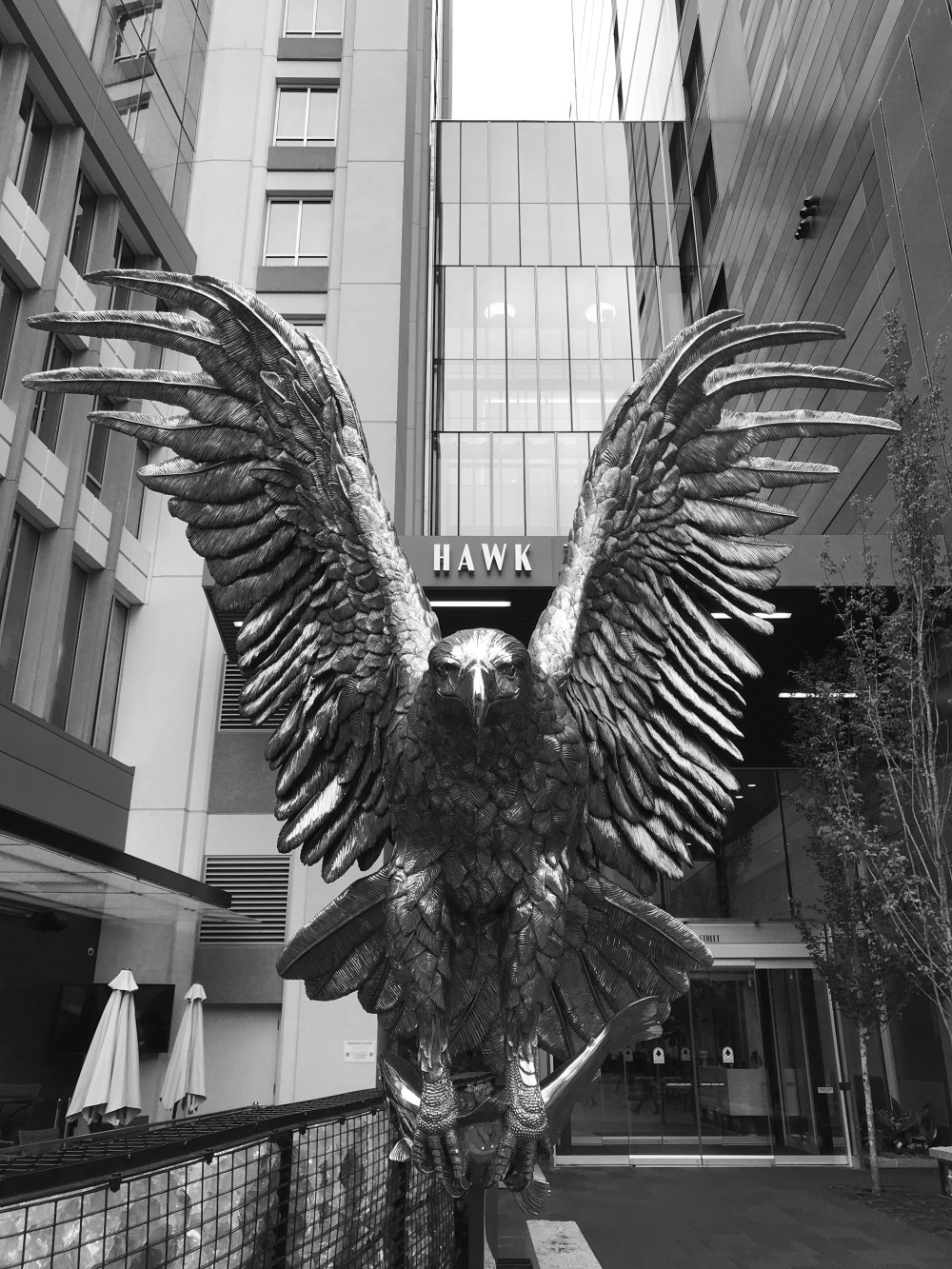 677005C6-9796-4874-B38E-4D722726A488