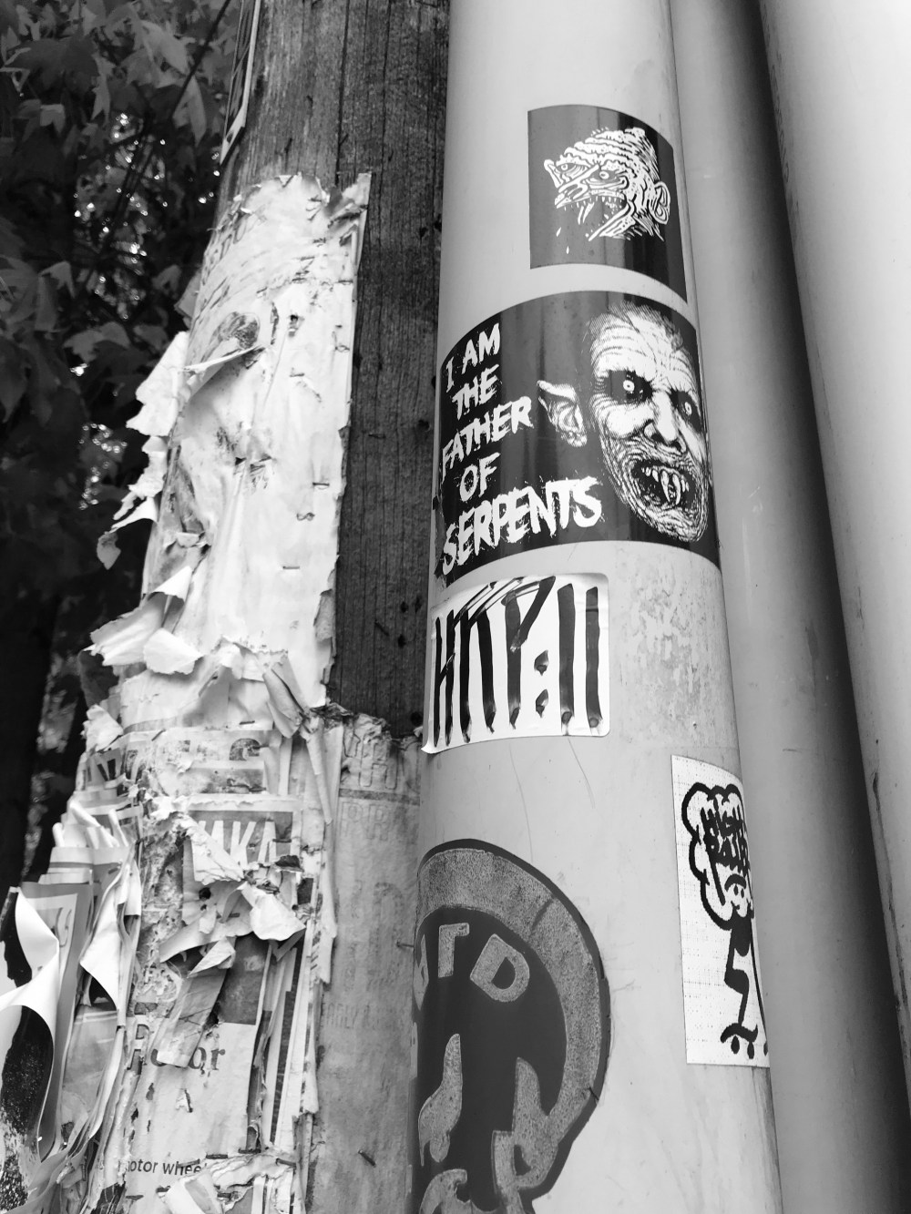 6F8BEAE5-94BD-4C2B-8910-11A79F0F4ECB