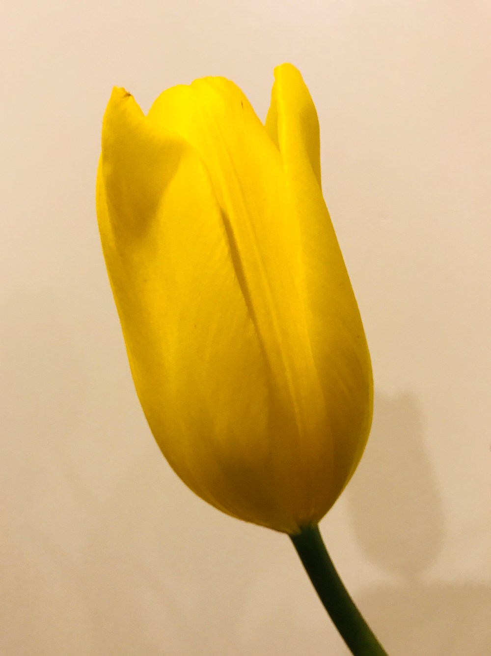 75D3BAAD-EE75-4B42-A99C-99031FA5333C