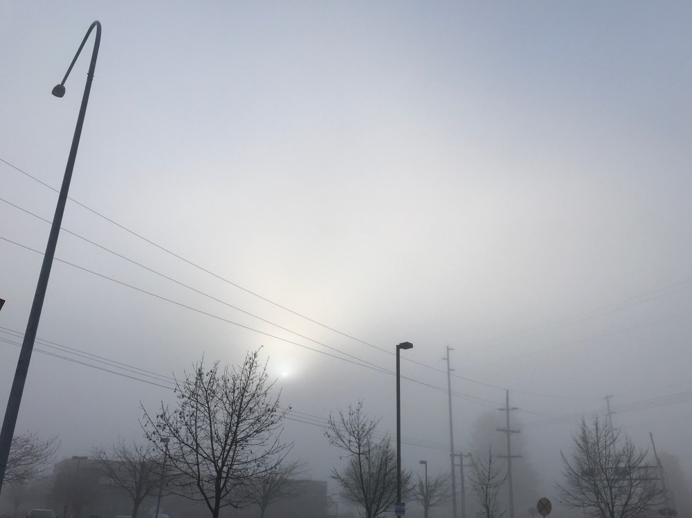 7BCAD92F-C02C-4890-91BF-154E6A92926C