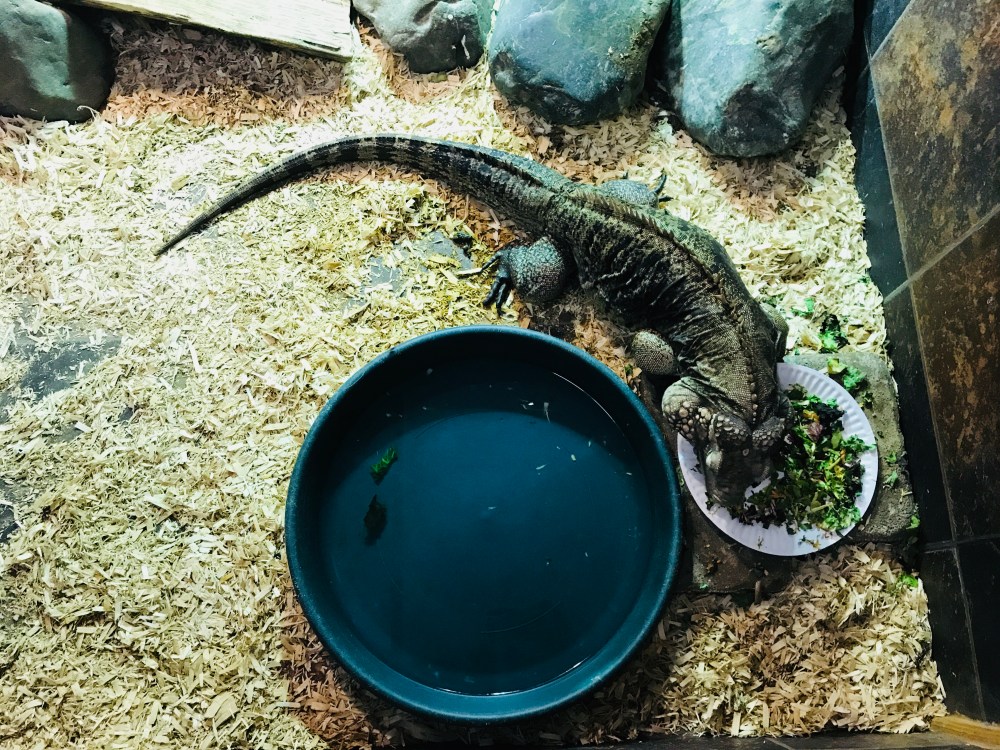 867E9AC6-9158-4A40-B396-944CD1784603