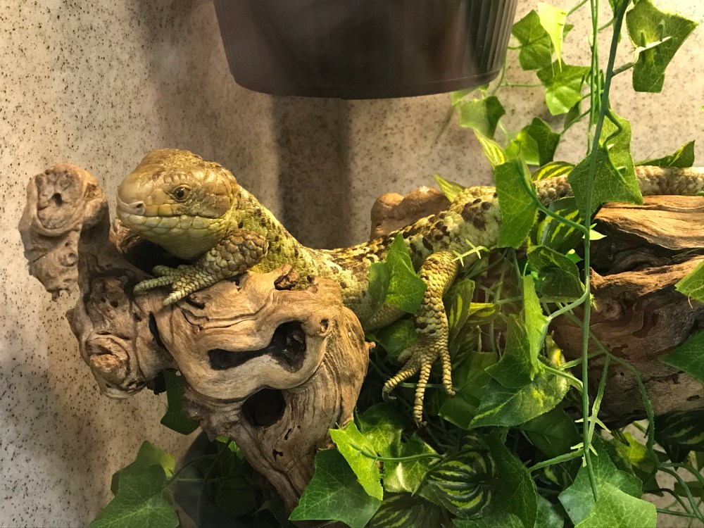 87F7E219-271E-49A8-9A6B-F439B28319EB