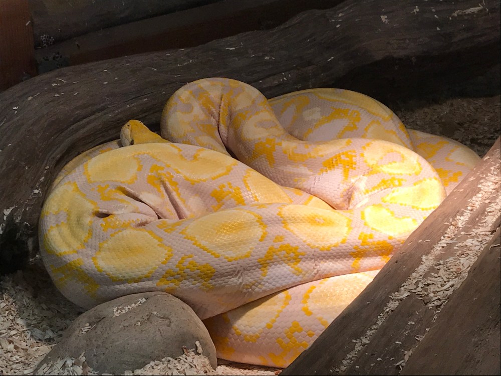 8B82A023-132E-4942-A55E-81624C0DFBBA