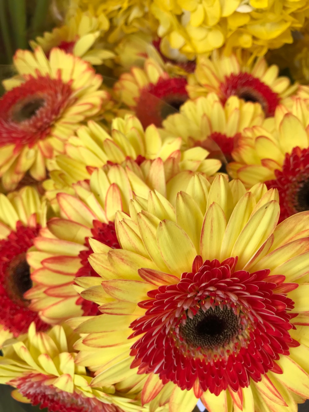 92C5FF6D-A2B5-45FD-9D97-2C55F9EE96C3