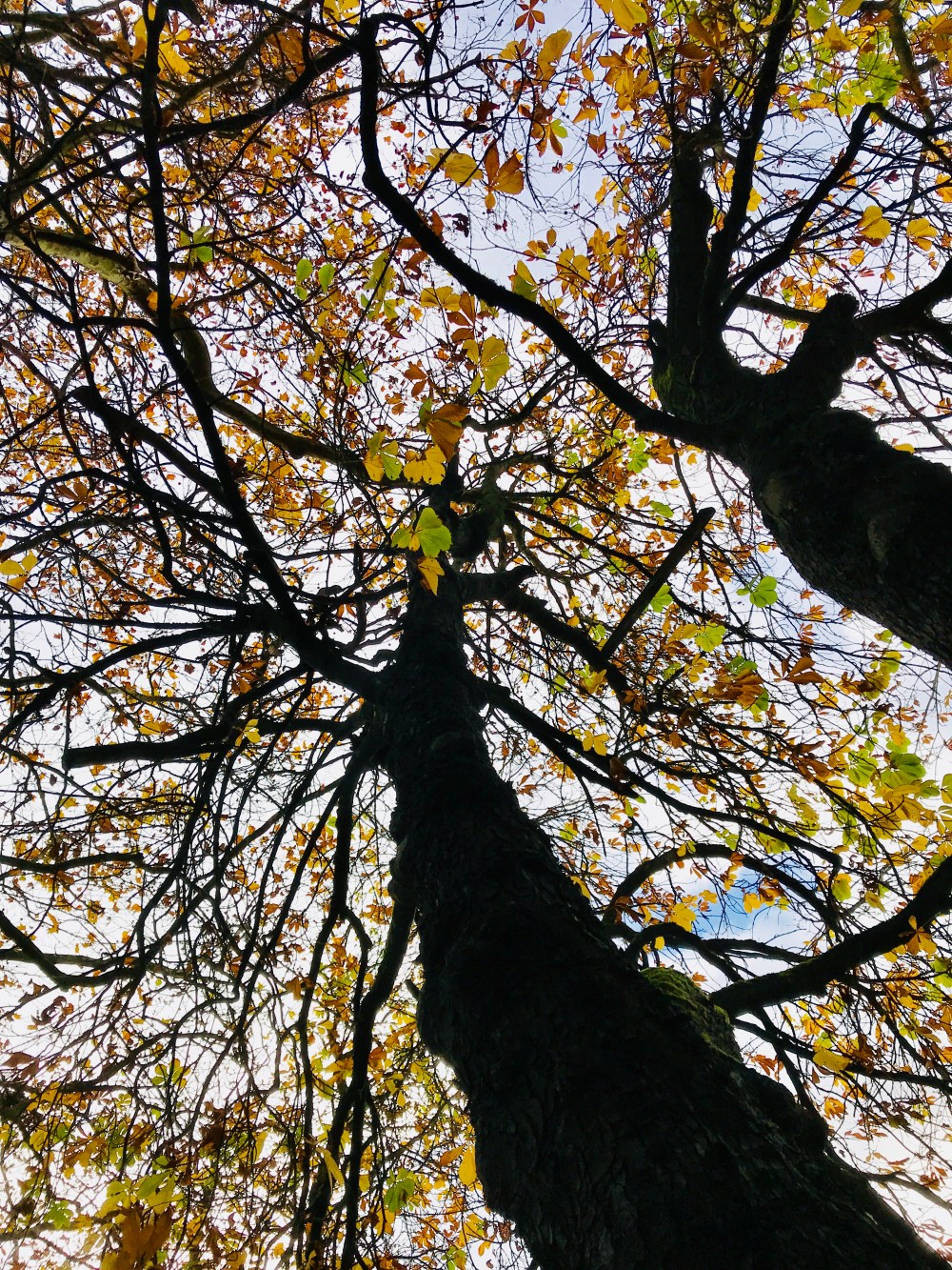 A9B3E960-120D-4BF3-AA6B-B2065E7CDF4B