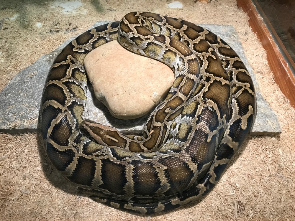 B7930D82-ED94-4C47-8D3D-B714DC5C38DE