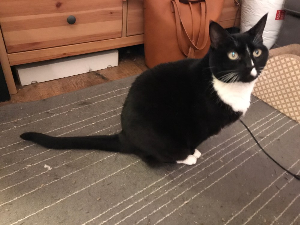 B8809272-FAF7-4476-AE3D-683E27B27AA4