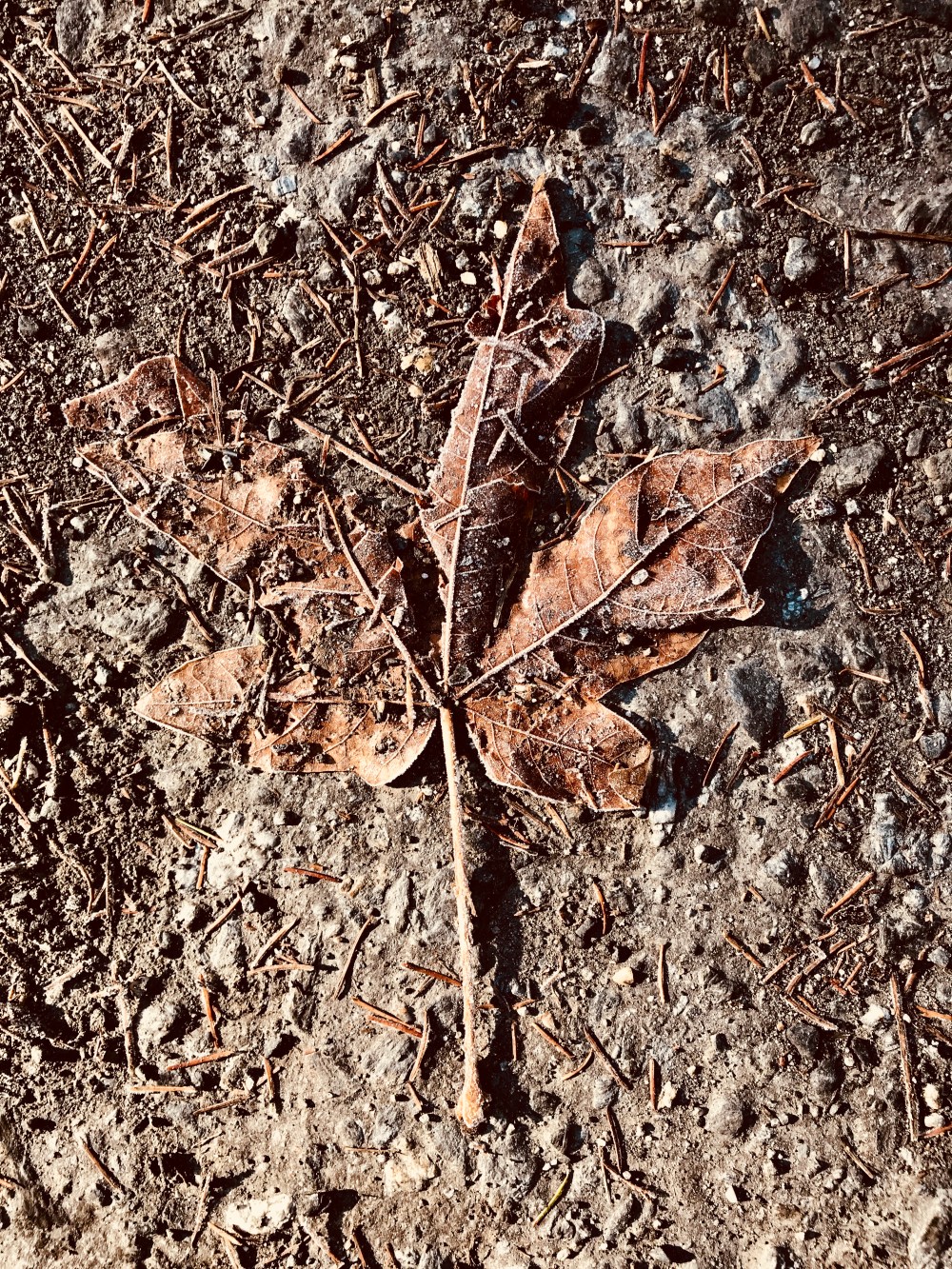 B8F957CA-A86F-40B0-A993-2DAFFB33CB19