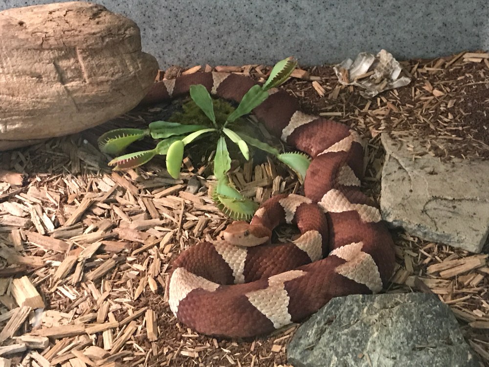 BD6287F7-BC80-45D6-81AE-A139616F40D8