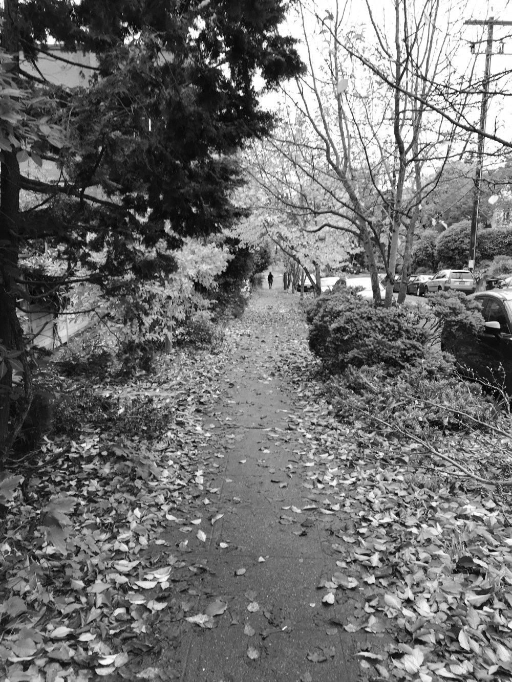 C3E01DBA-04BA-4371-A926-B34558EE61B6