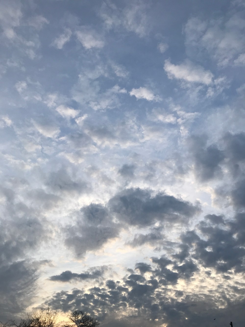 C6692DB3-2D11-40A9-825F-4ED8D41E981F