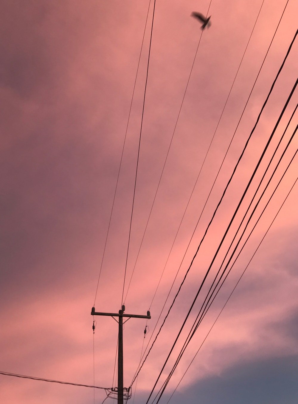 CA139FD9-DBD0-4100-B13E-130B1A31D292