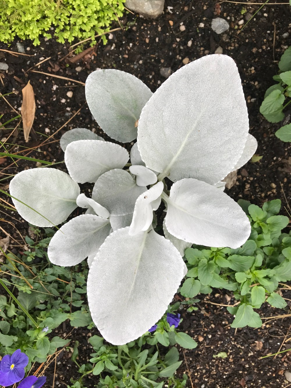 CA410C2F-2AA7-4763-AFF3-3614BB4E36E2