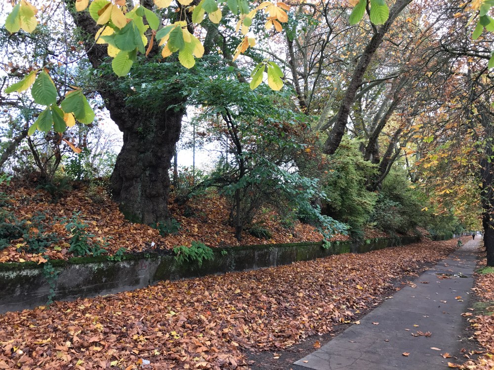 D05355DD-6A79-4C64-8562-8C5148E39457