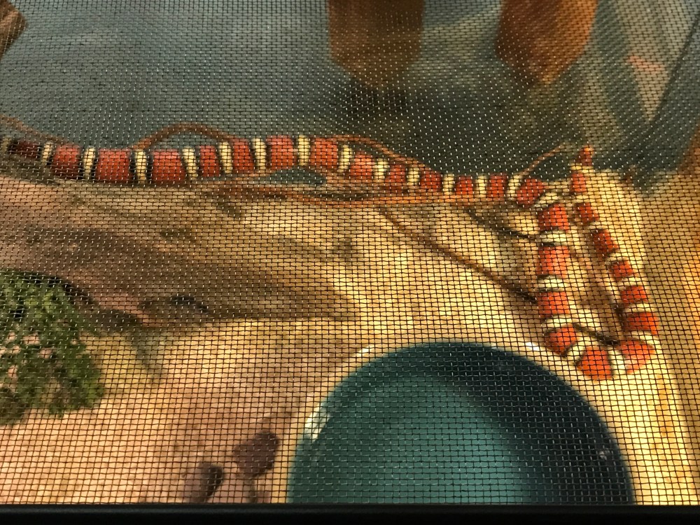 D2450520-610B-4084-B692-AB4FEFDAE87D