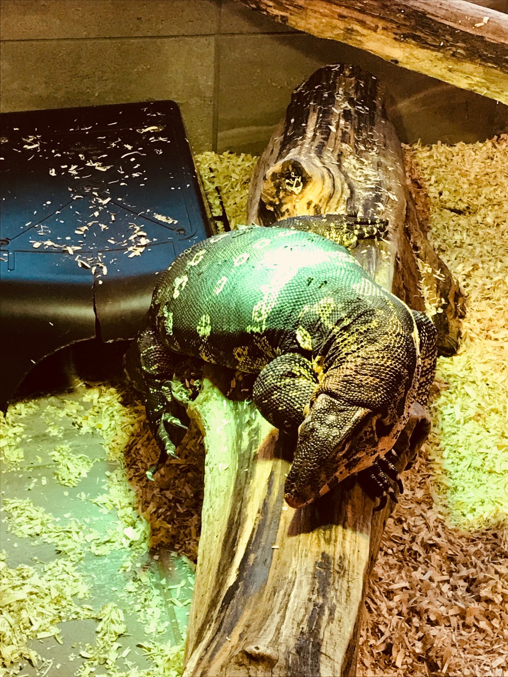 E258391E-398D-4226-A1FF-5C25EA2AD000