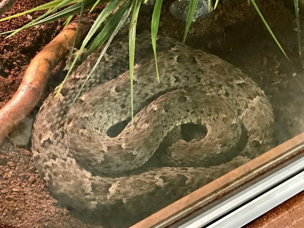 E36FAFA0-35ED-422C-97C1-A2FFC4EFE8CD