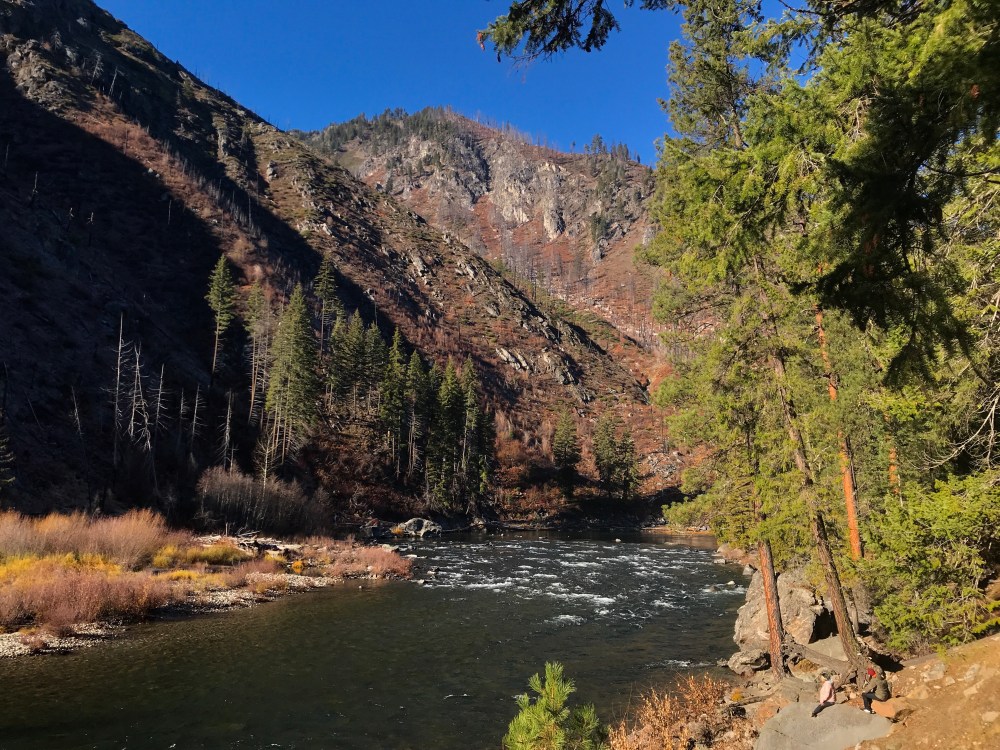 F0B5F3AF-922D-4988-AE97-8A0A82158216