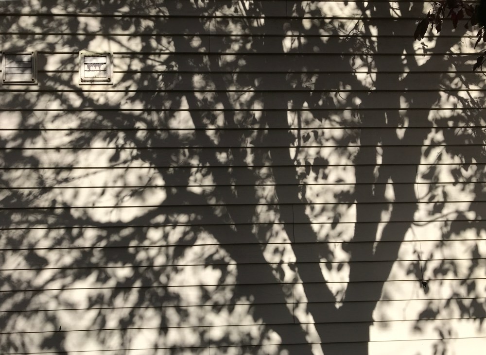 FAC958E8-760F-4CE5-858F-55ED75230449