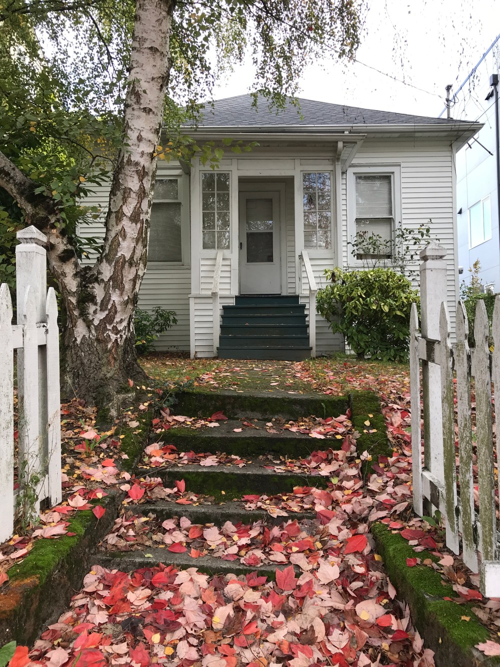 FB665CB4-802C-4DCA-A281-F860F1E22D9D