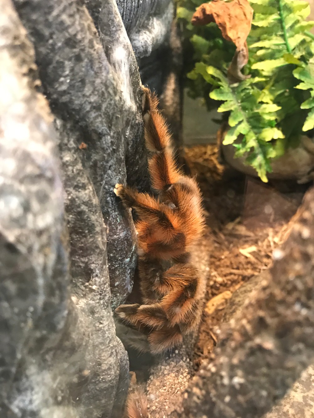 FD3D4B53-5249-4B6E-92BB-2331CEE32010