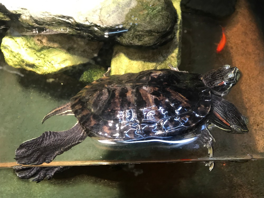 FDFE43AC-5D89-430A-949E-9C3D2AB2F60F