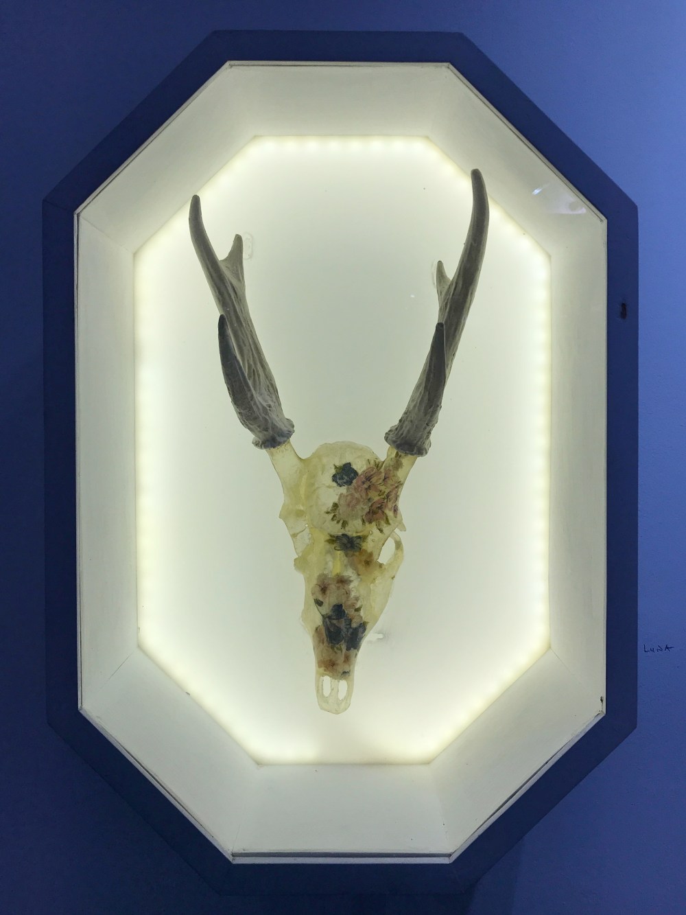 8ECDEE83-E31A-4F3F-812E-791A4A951D63