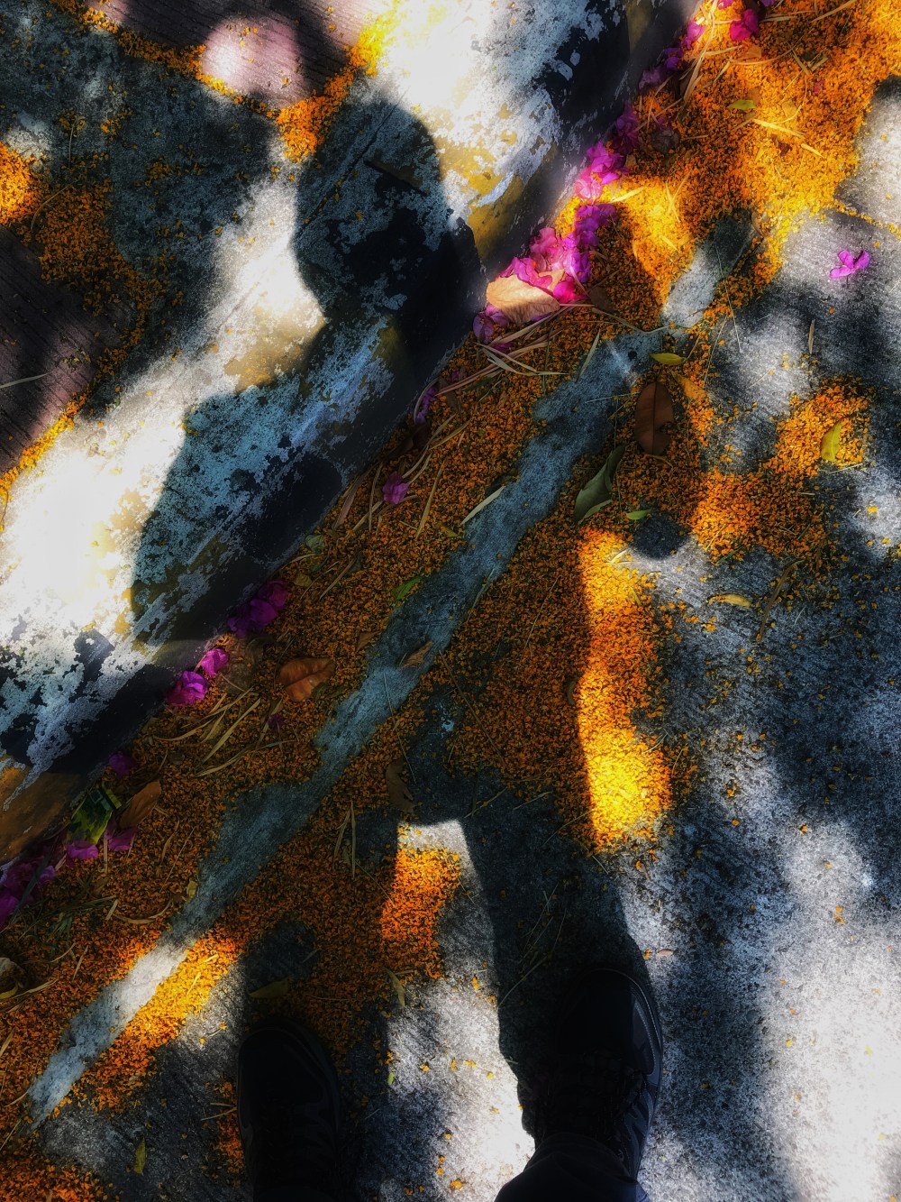 1D810932-C46B-4F4E-9D7F-8406C7B378C4